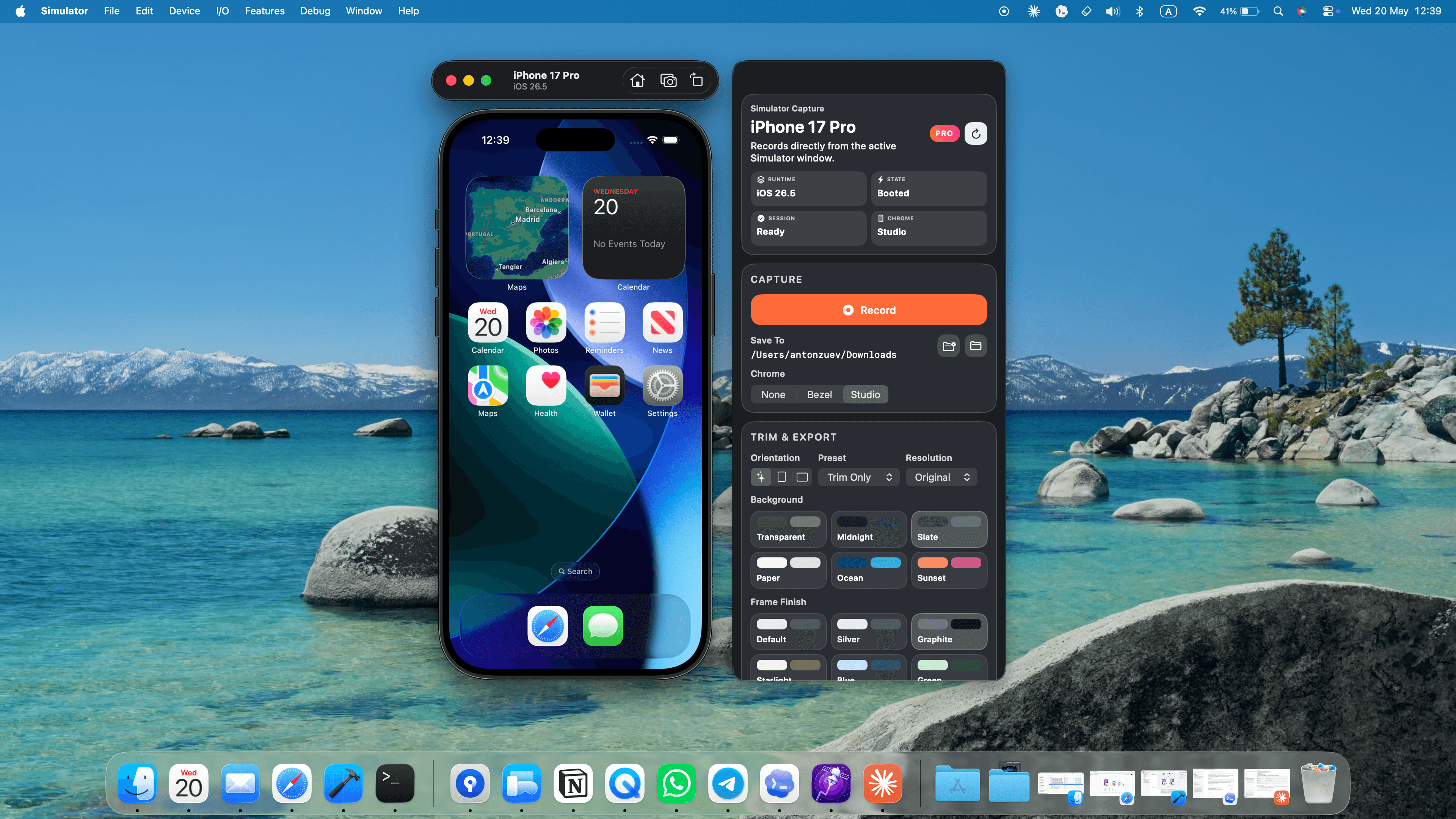 SimulatorVideoGrabber preview